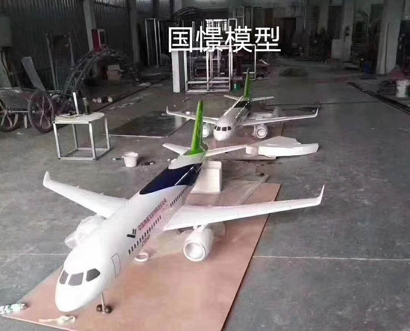 南丹县飞机模型