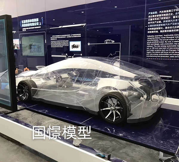 南丹县透明车模型